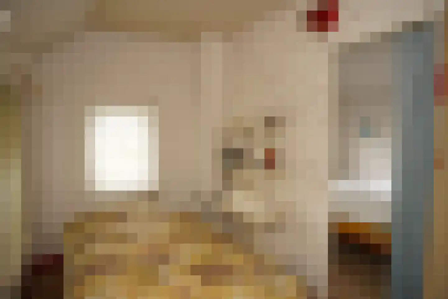Ter Moere 4 Nieuwvliet thumbnail 25