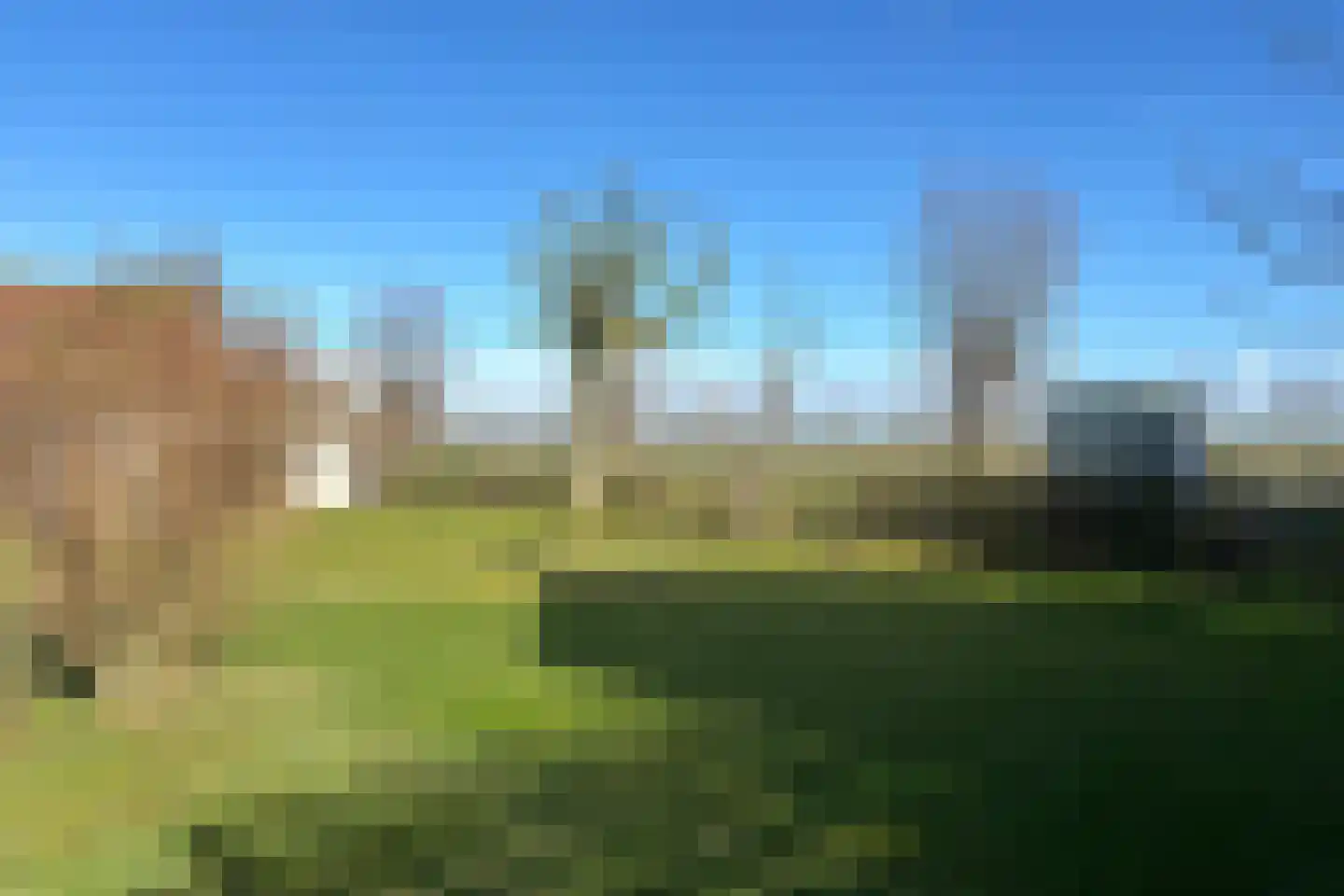 Ter Moere 4 Nieuwvliet foto 3