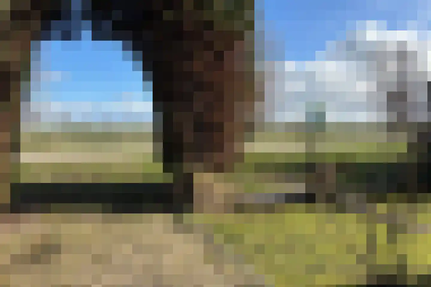 Ter Moere 4 Nieuwvliet thumbnail 35