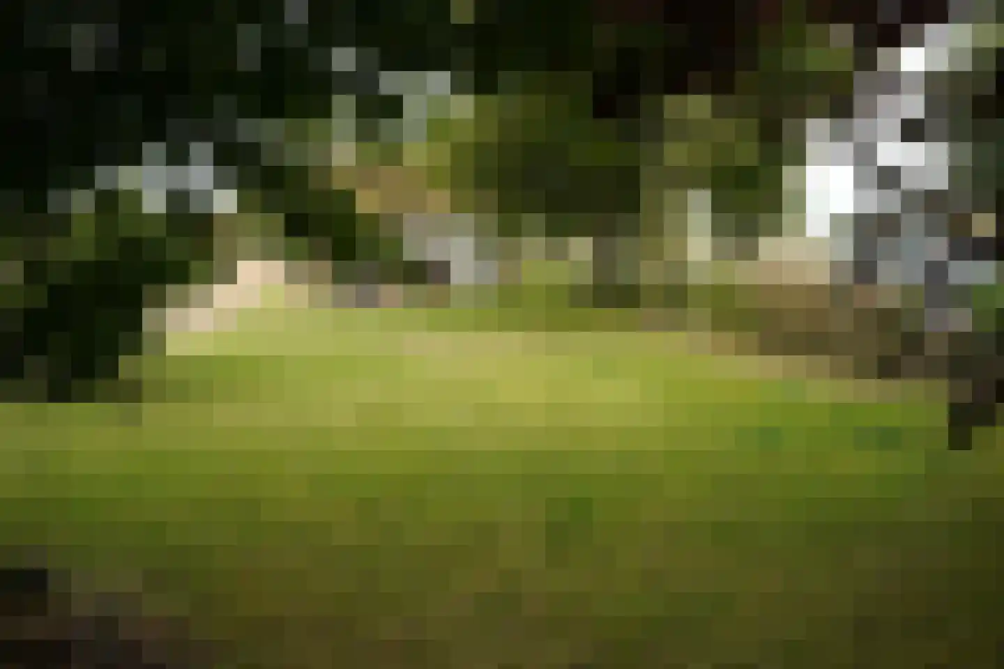 Ter Moere 4 Nieuwvliet thumbnail 39