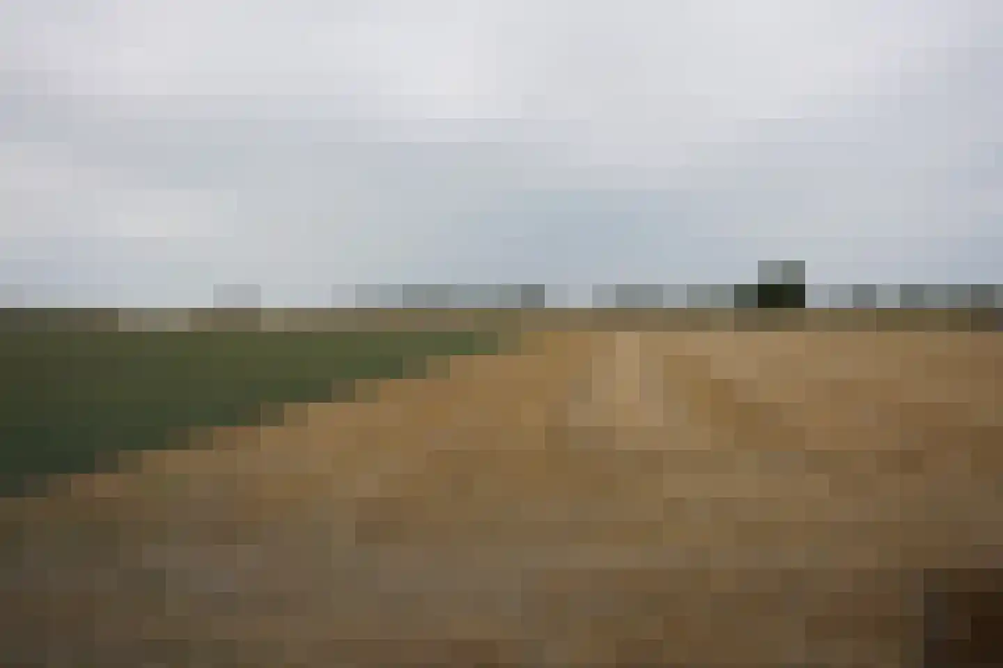 Ter Moere 4 Nieuwvliet thumbnail 40