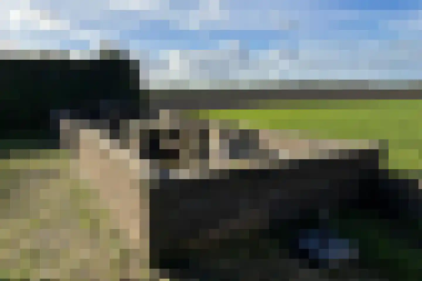 Ter Moere 4 Nieuwvliet thumbnail 43