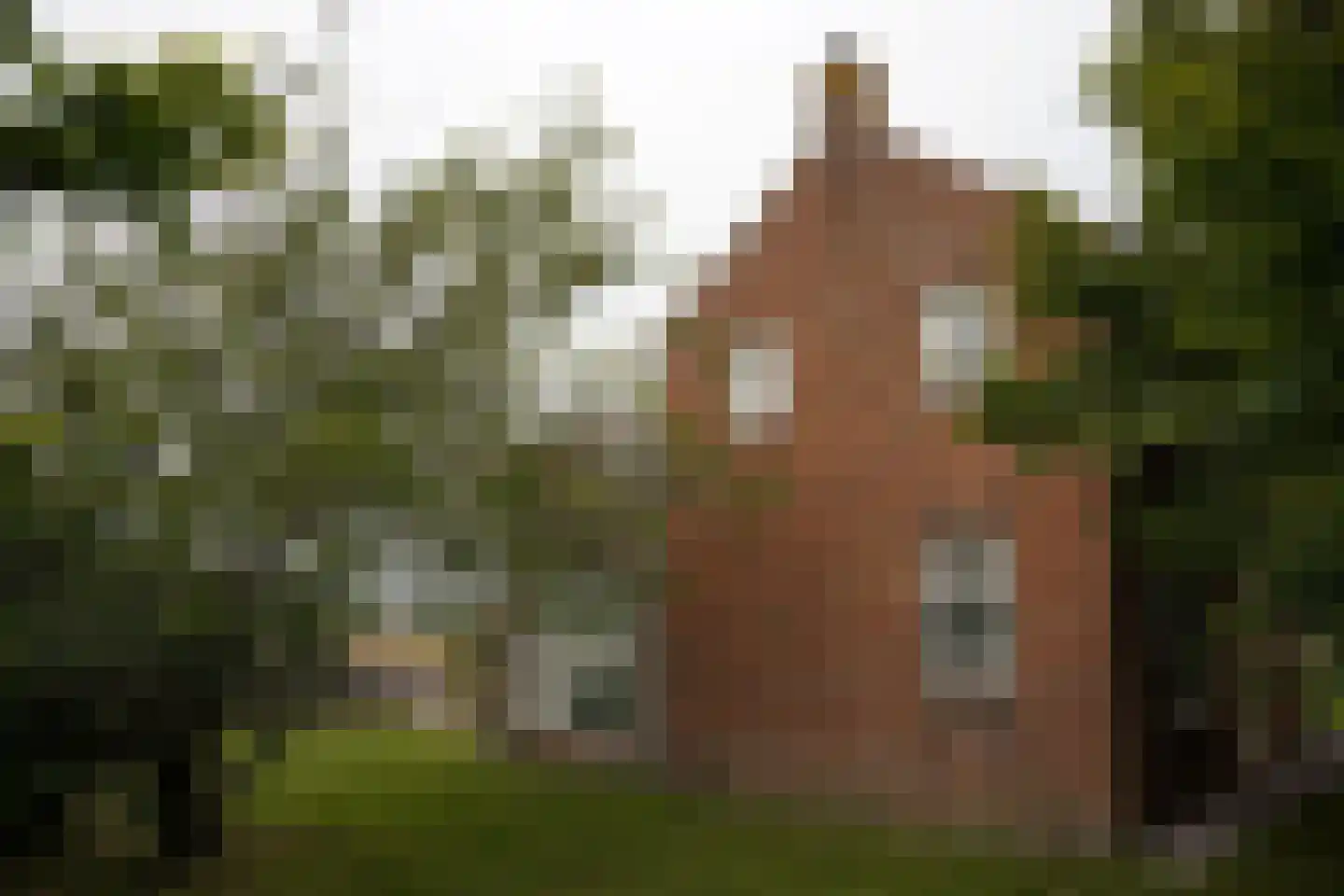 Ter Moere 4 Nieuwvliet thumbnail 44
