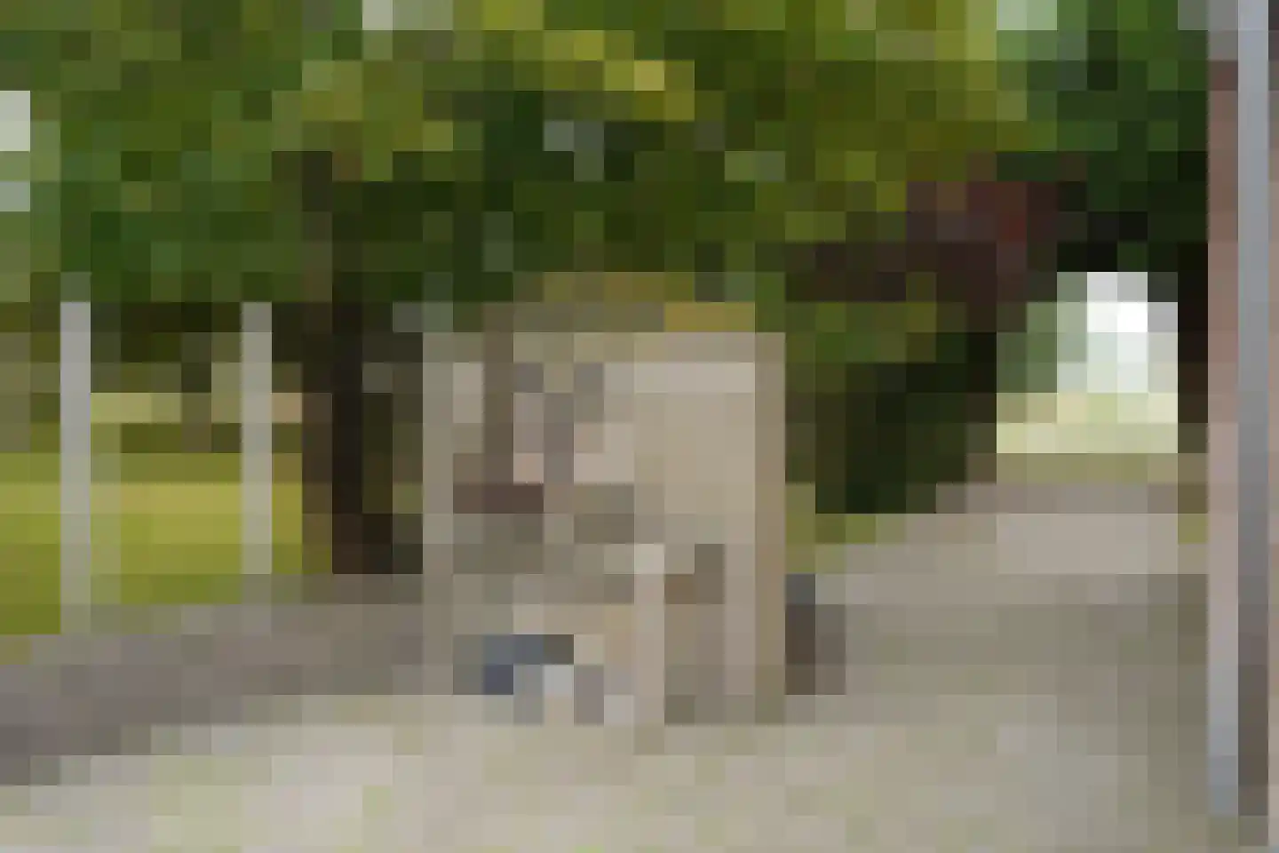 Ter Moere 4 Nieuwvliet thumbnail 46