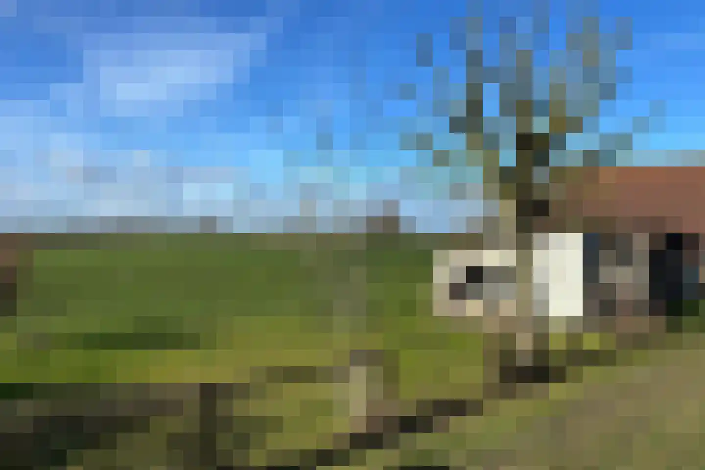 Ter Moere 4 Nieuwvliet thumbnail 54