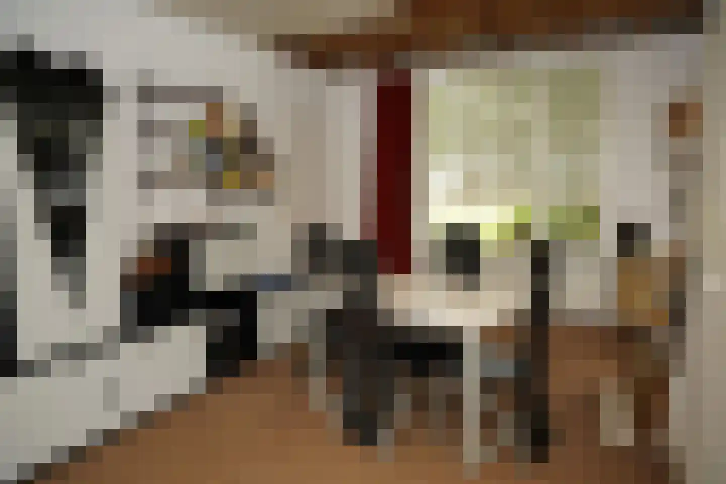 Ter Moere 4 Nieuwvliet thumbnail 6