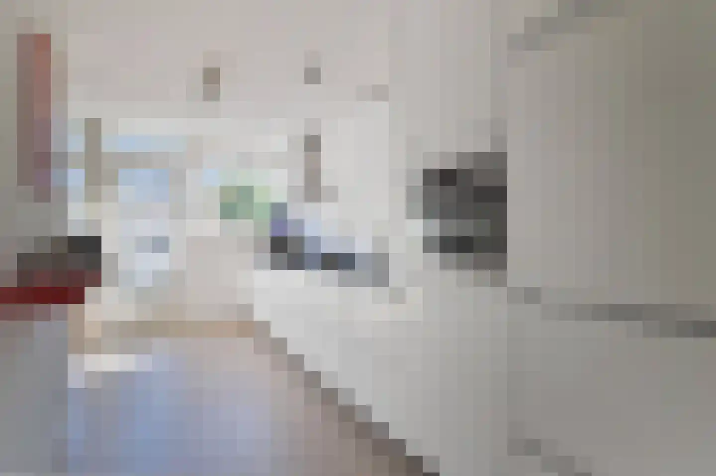 Ter Nieuwburgstraat 18 Den Haag thumbnail 18