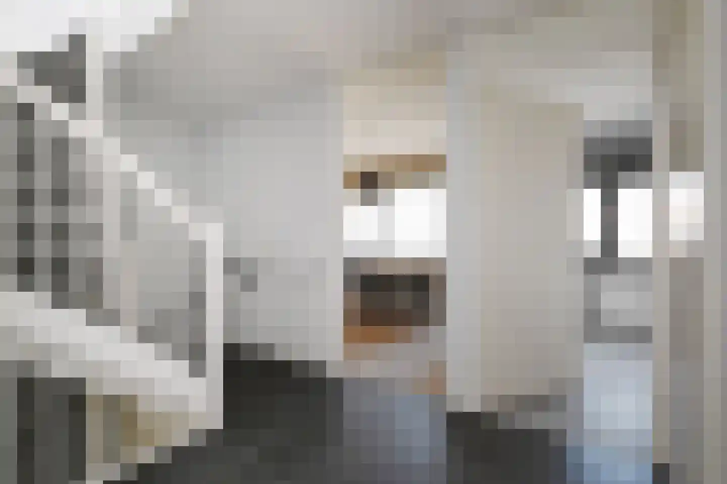 Ter Nieuwburgstraat 18 Den Haag thumbnail 34