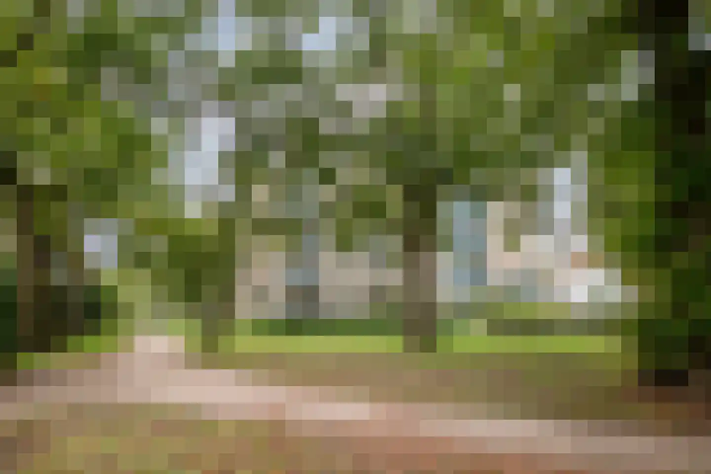 Ter Pelkwijkpark 40 Zwolle thumbnail 29