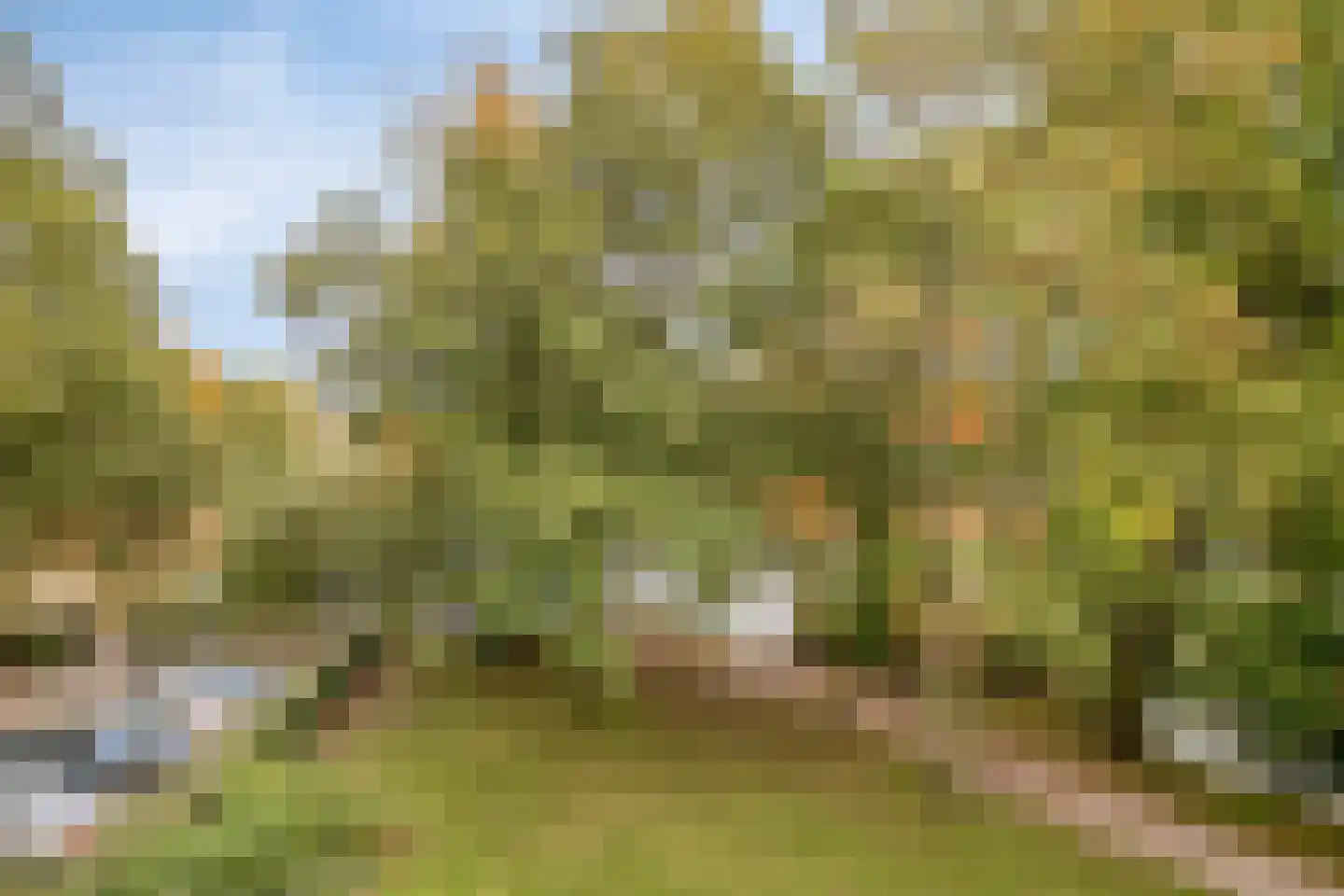 Ter Pelkwijkpark 40 Zwolle thumbnail 30