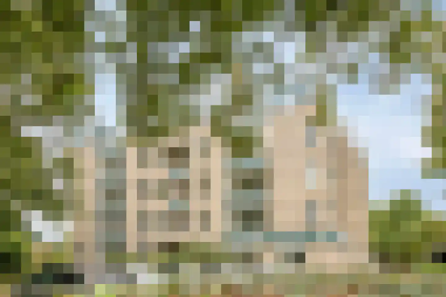 Ter Pelkwijkpark 40 Zwolle thumbnail 31