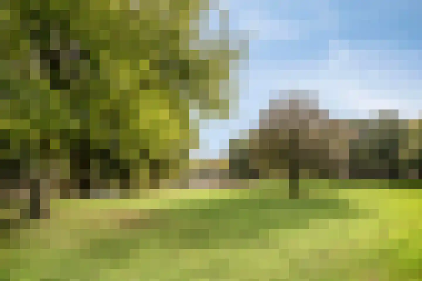 Ter Pelkwijkpark 40 Zwolle thumbnail 32