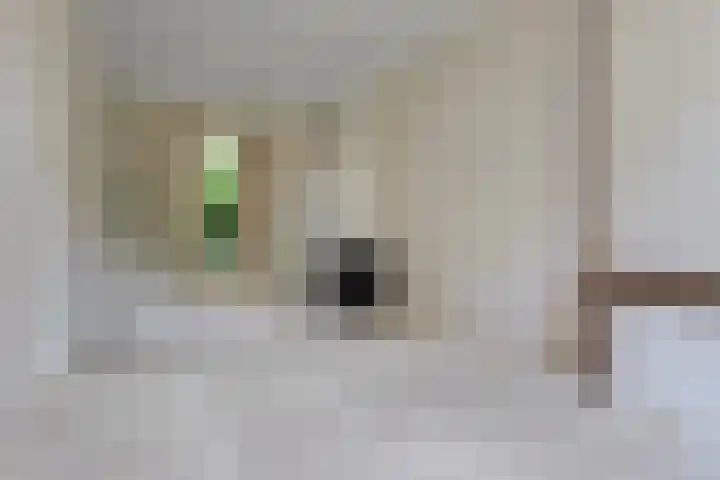 Ter Pelkwijkstraat 9 Zwolle thumbnail 12