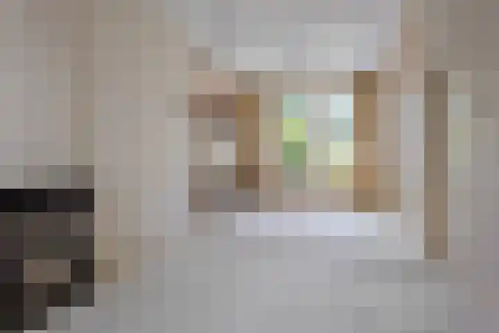 Ter Pelkwijkstraat 9 Zwolle thumbnail 13