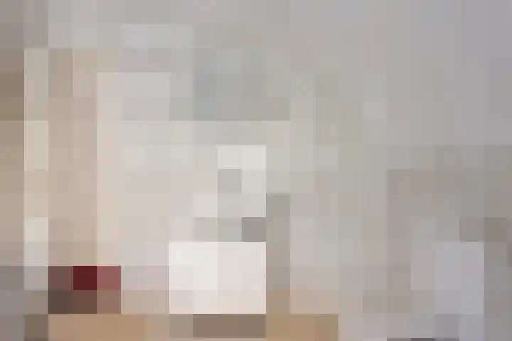 Ter Pelkwijkstraat 9 Zwolle thumbnail 34