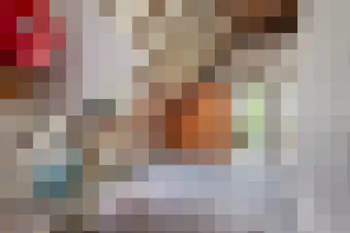 Ter Pelkwijkstraat 9 Zwolle thumbnail 35