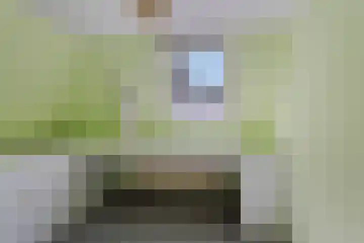 Ter Pelkwijkstraat 9 Zwolle thumbnail 36