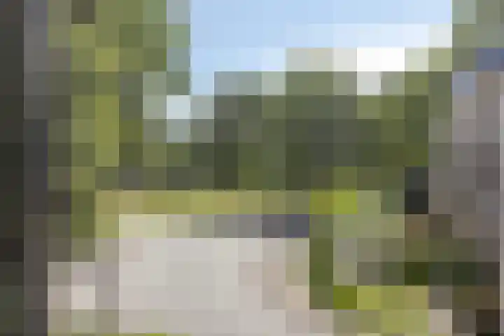 Ter Pelkwijkstraat 9 Zwolle thumbnail 37