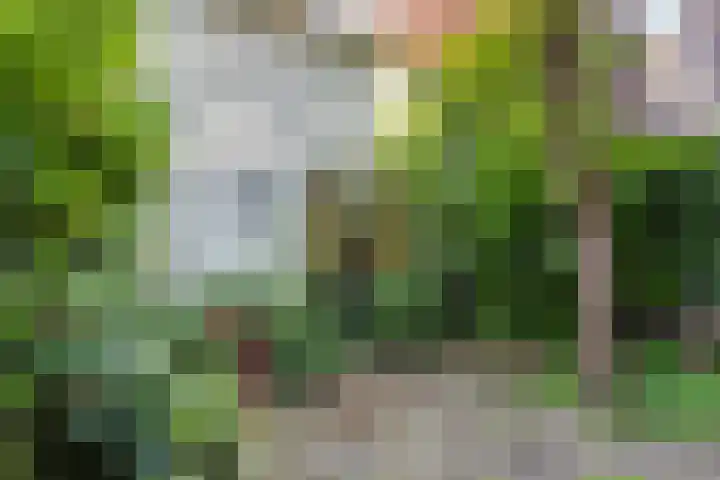Ter Pelkwijkstraat 9 Zwolle thumbnail 38