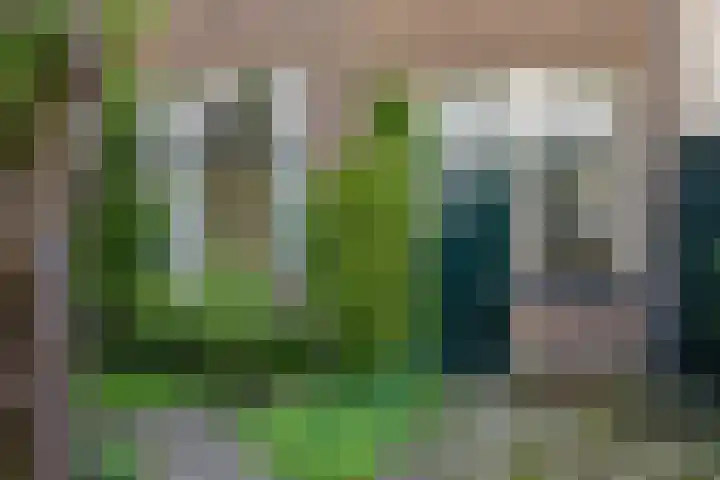 Ter Pelkwijkstraat 9 Zwolle thumbnail 39