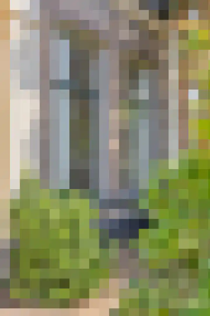 Ter Pelkwijkstraat 9 Zwolle thumbnail 4