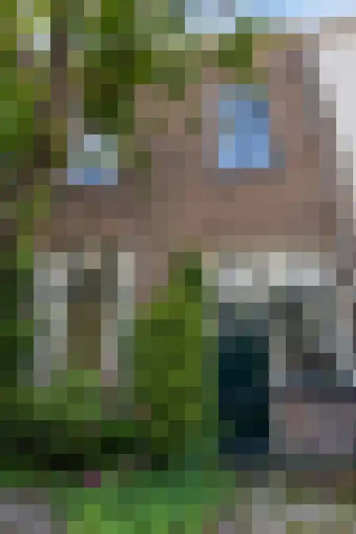 Ter Pelkwijkstraat 9 Zwolle thumbnail 41