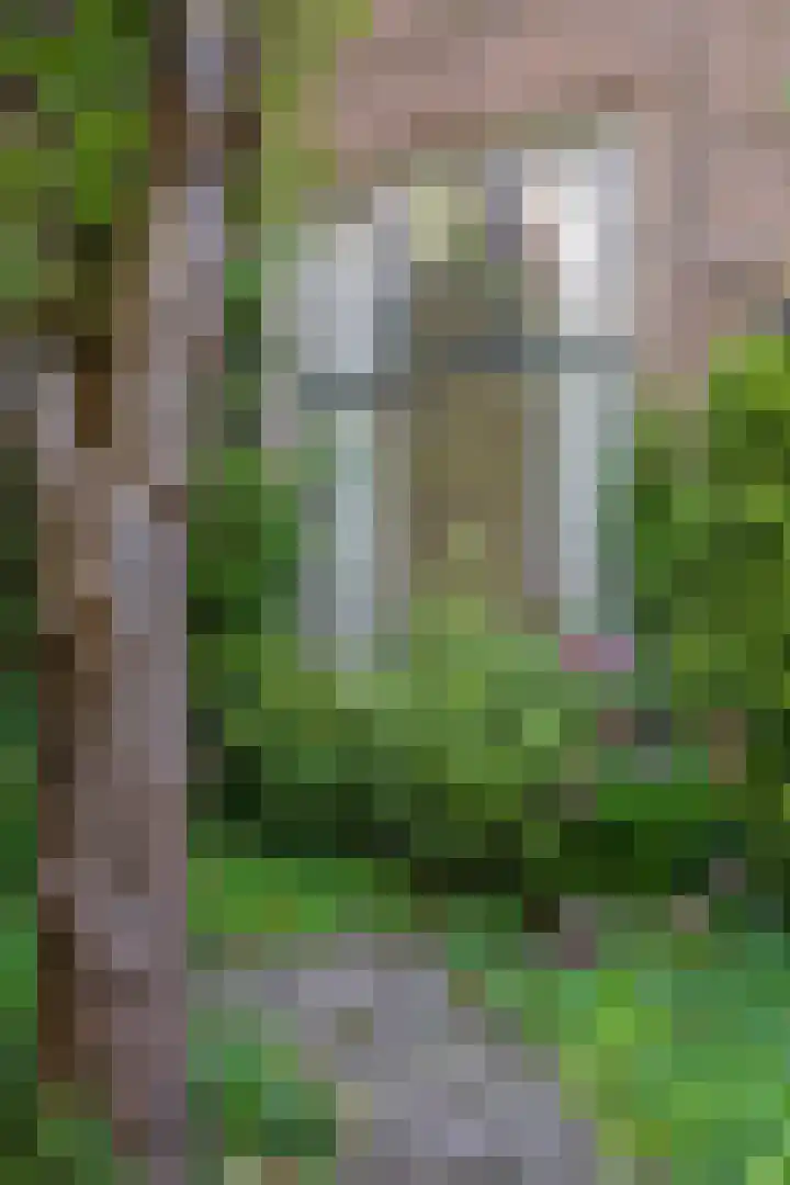 Ter Pelkwijkstraat 9 Zwolle thumbnail 42