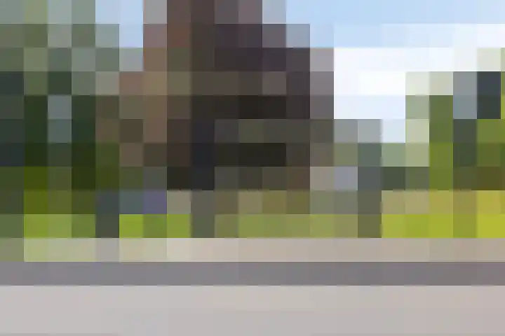 Ter Pelkwijkstraat 9 Zwolle thumbnail 48