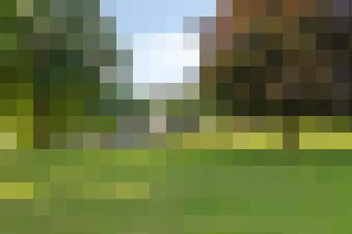 Ter Pelkwijkstraat 9 Zwolle thumbnail 49