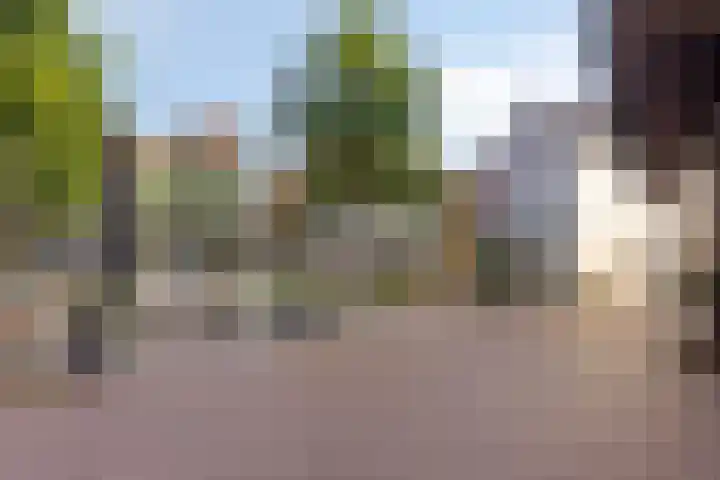 Ter Pelkwijkstraat 9 Zwolle thumbnail 51