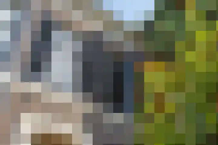 Ter Pelkwijkstraat 9 Zwolle thumbnail 6
