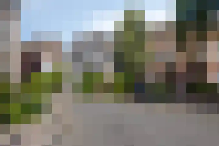 Ter Pelkwijkstraat 9 Zwolle thumbnail 7