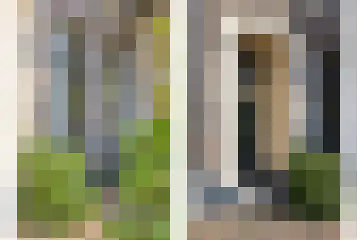 Ter Pelkwijkstraat 9 Zwolle thumbnail 8