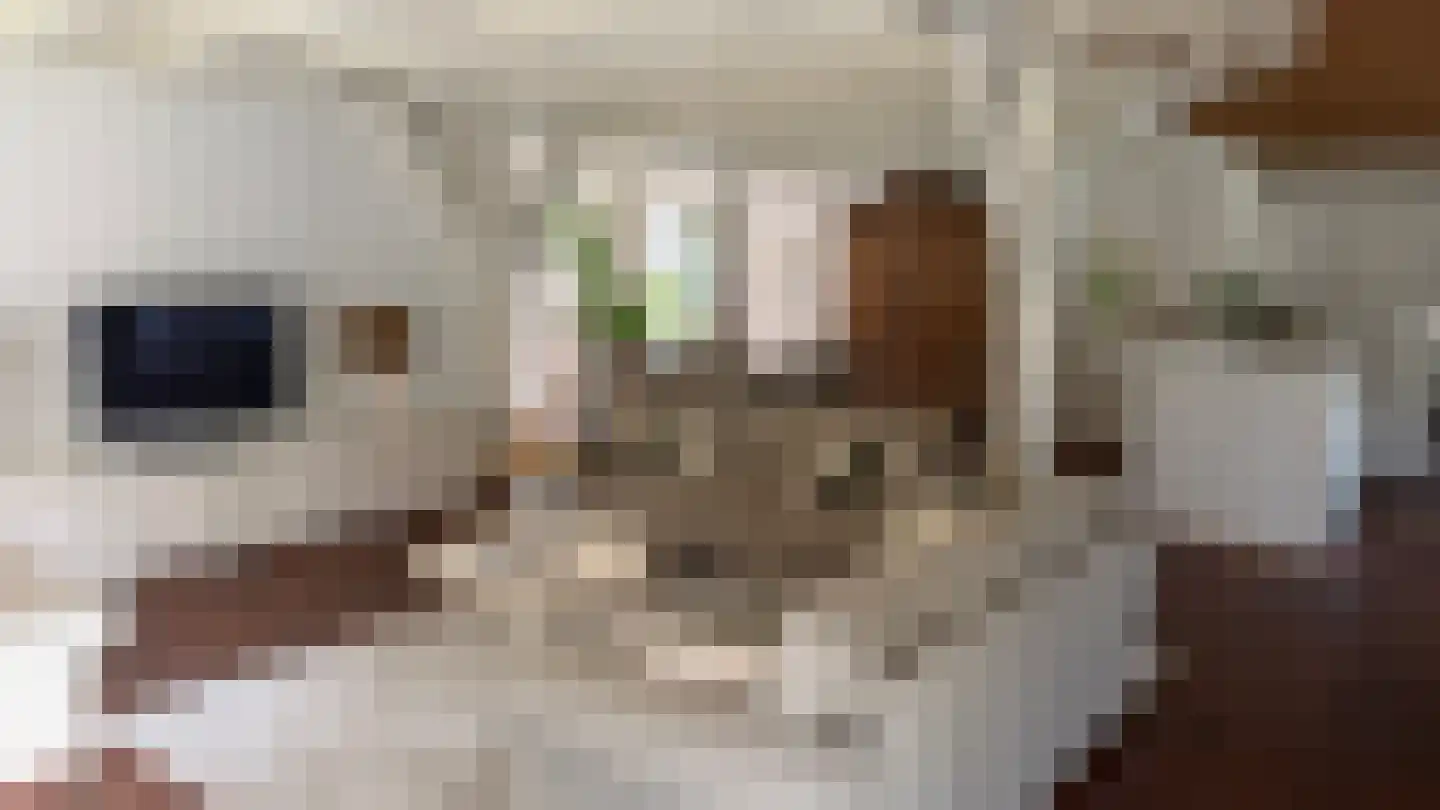 Ter Poorteweg 11 Koudekerke thumbnail 21