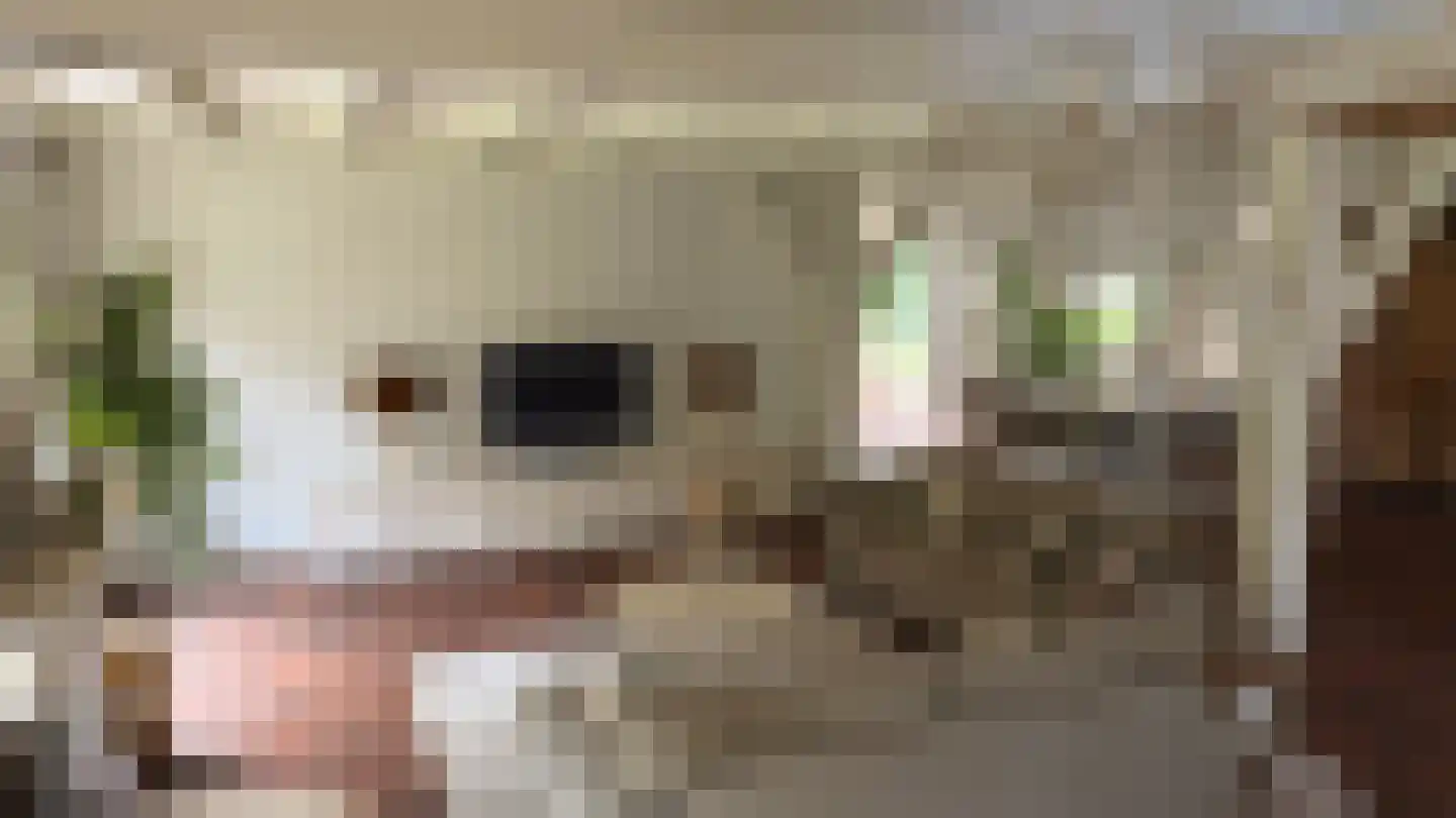 Ter Poorteweg 11 Koudekerke thumbnail 22
