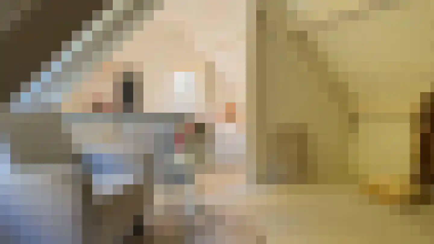 Ter Poorteweg 11 Koudekerke thumbnail 36