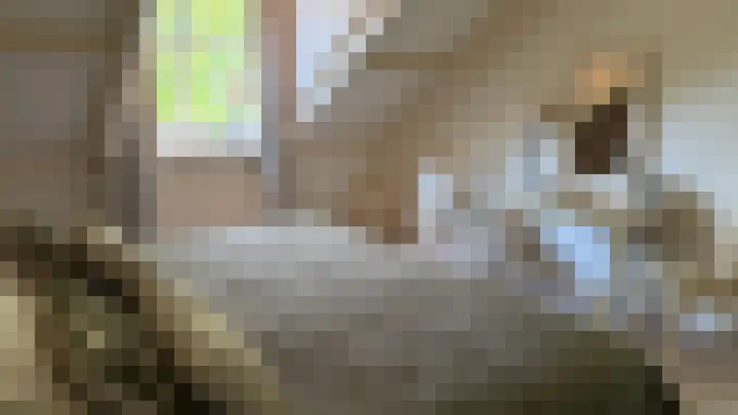 Ter Poorteweg 11 Koudekerke thumbnail 39