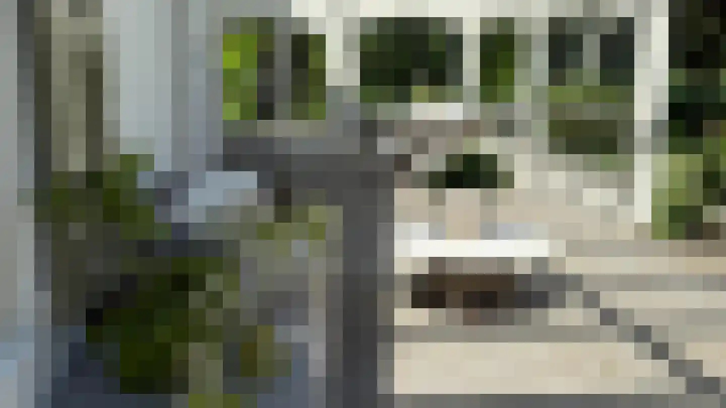 Ter Poorteweg 11 Koudekerke thumbnail 45