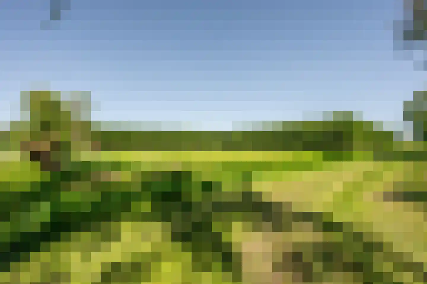 Ter Poorteweg 11 Koudekerke thumbnail 55