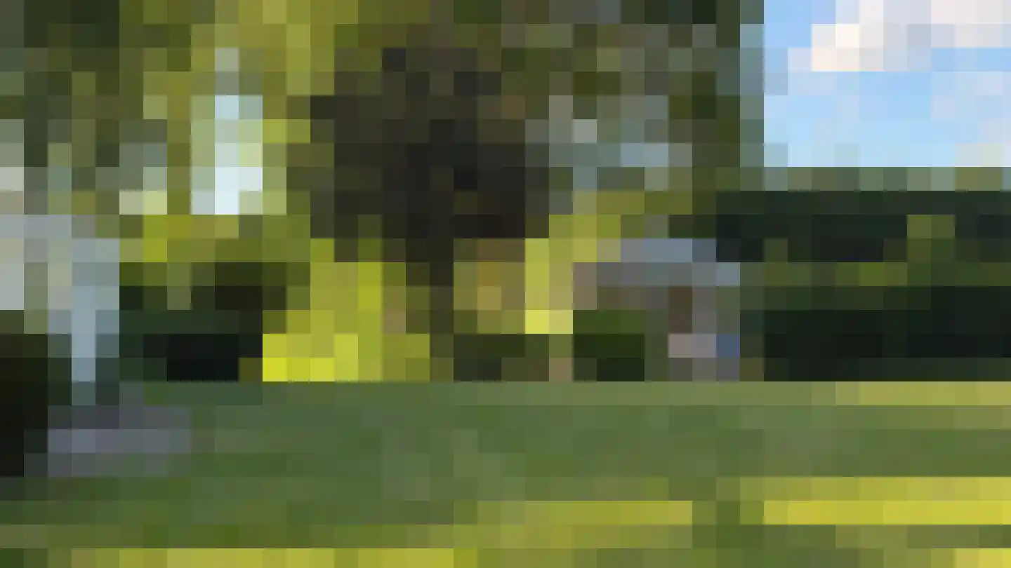 Ter Poorteweg 11 Koudekerke thumbnail 57