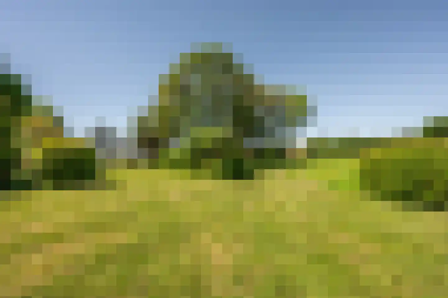 Ter Poorteweg 11 Koudekerke thumbnail 62