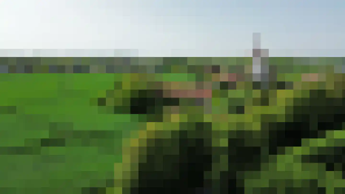 Ter Poorteweg 11 Koudekerke thumbnail 68