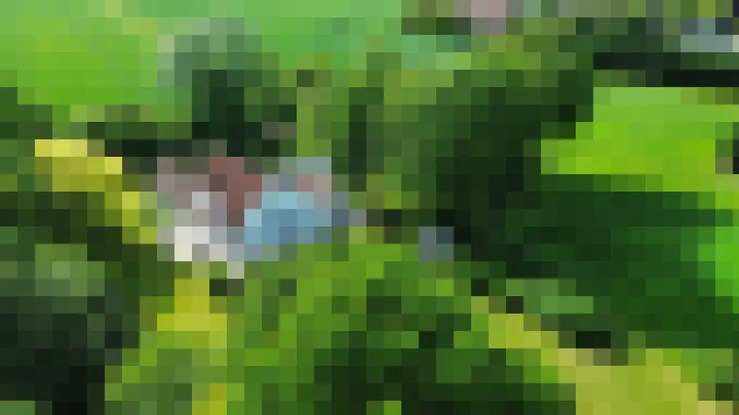 Ter Poorteweg 11 Koudekerke thumbnail 7