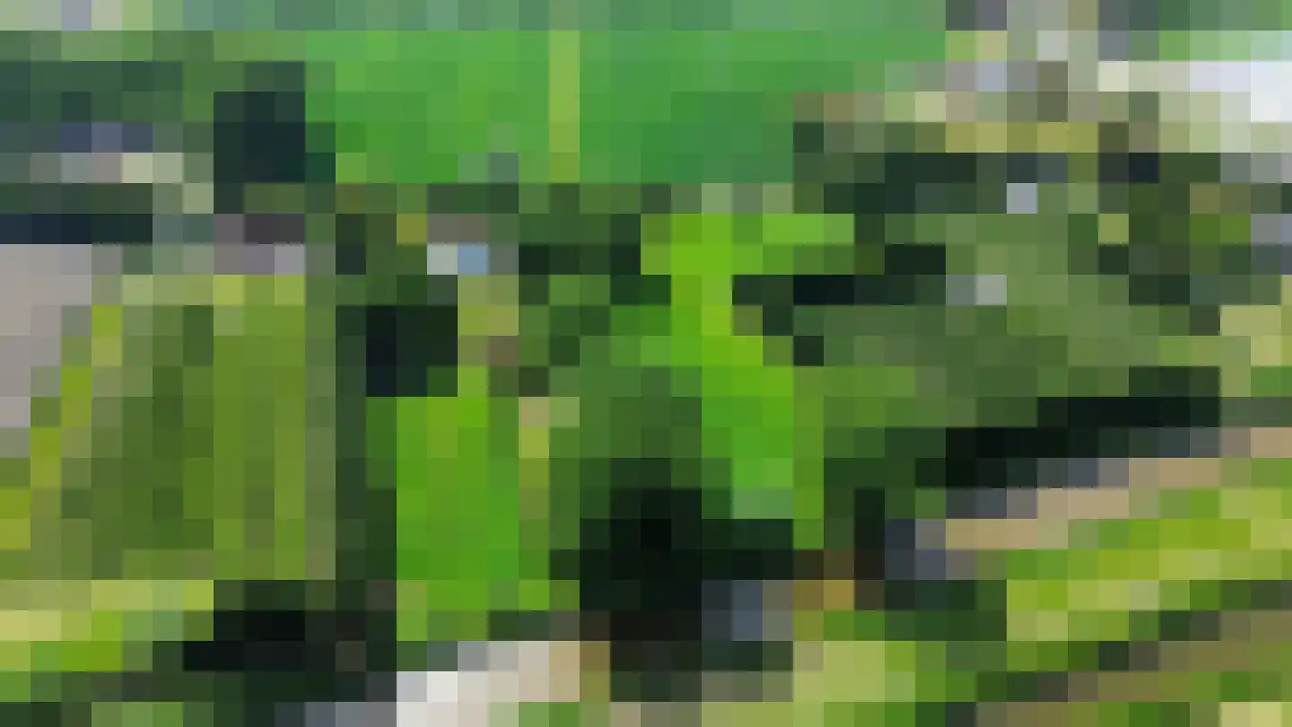 Ter Poorteweg 11 Koudekerke thumbnail 8