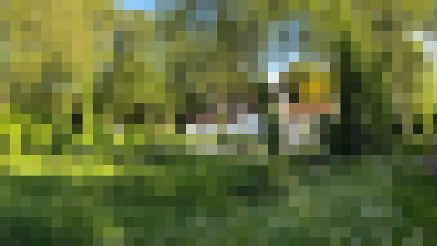 Ter Poorteweg 11 R Koudekerke thumbnail 10