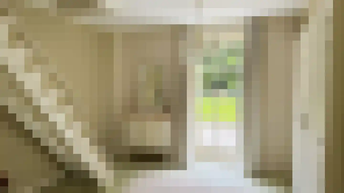 Ter Poorteweg 11 R Koudekerke thumbnail 12