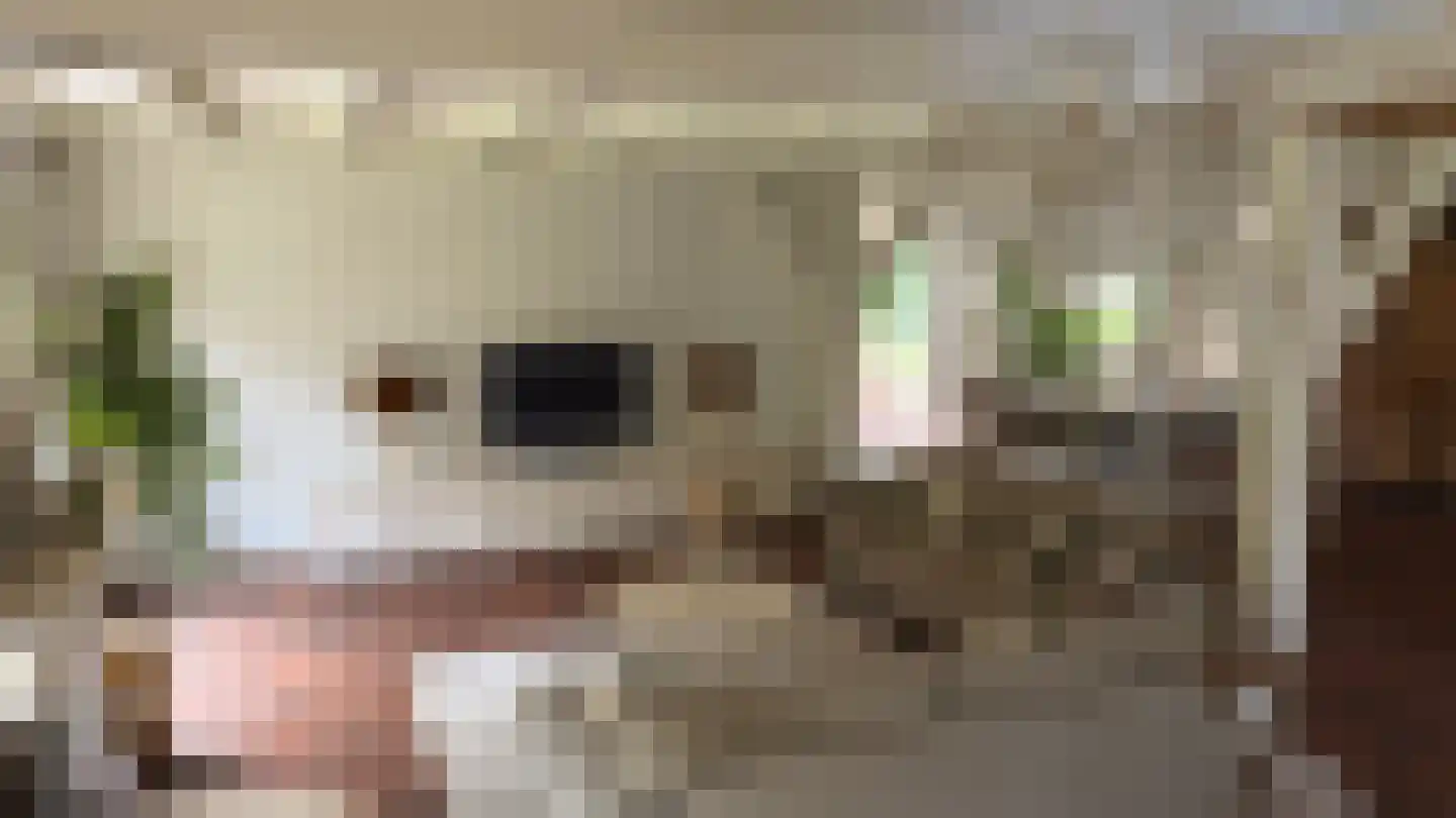 Ter Poorteweg 11 R Koudekerke thumbnail 22