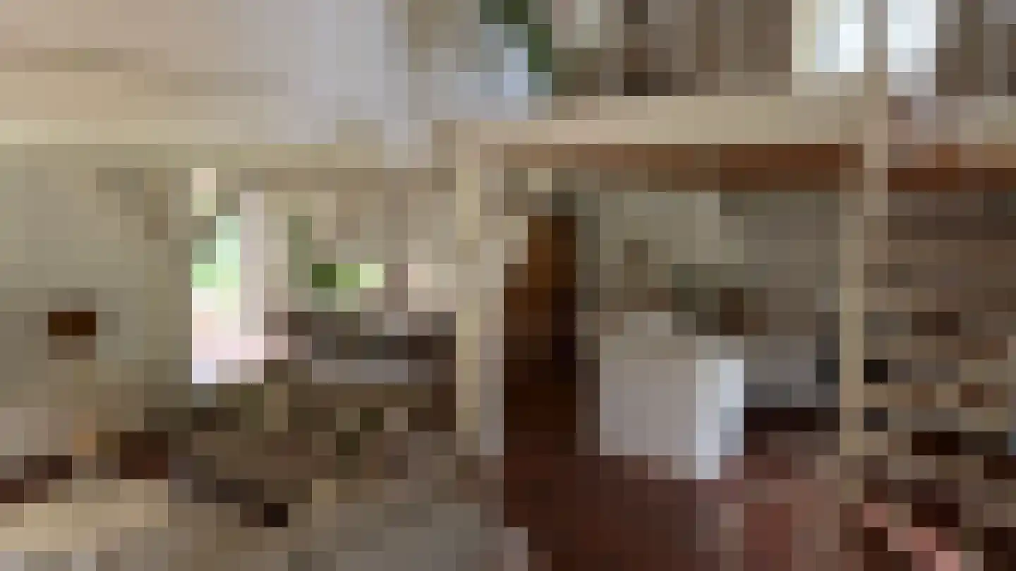 Ter Poorteweg 11 R Koudekerke thumbnail 27