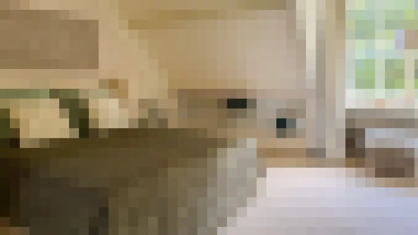 Ter Poorteweg 11 R Koudekerke thumbnail 32