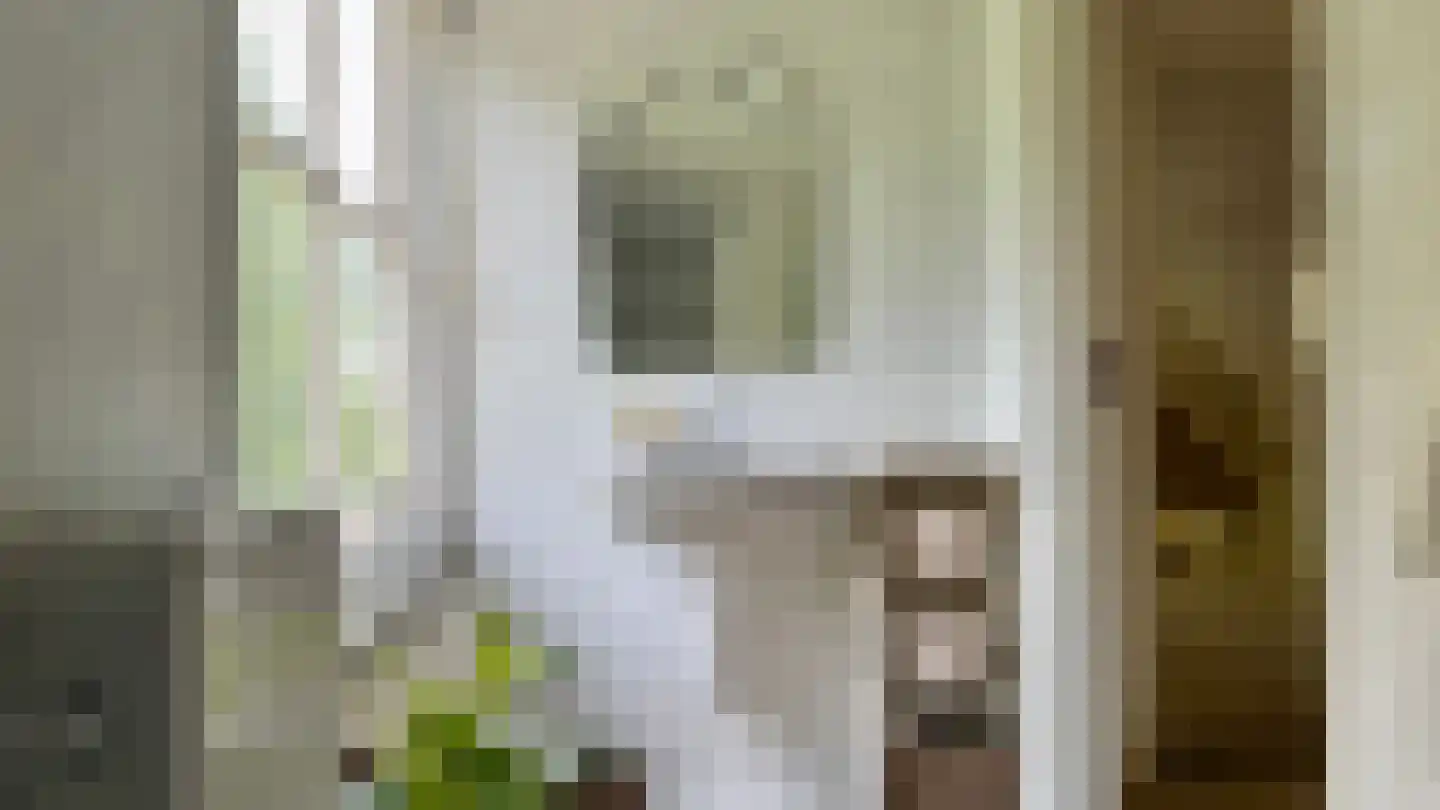 Ter Poorteweg 11 R Koudekerke thumbnail 34